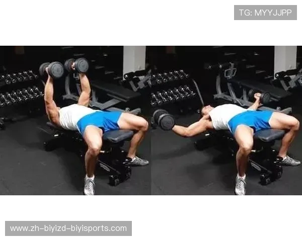 飞鸟动作：提升胸部力量的最佳健身器材使用指南